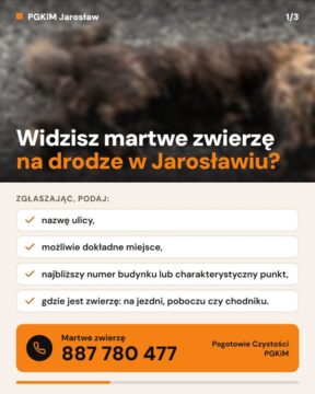 Pogotowie czystości – padłe zwierzęta z terenu Jarosławia